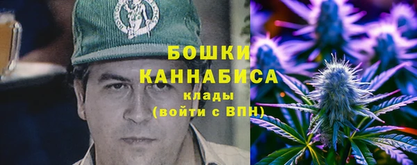 прущие крисы Абаза