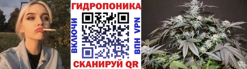купить наркоту  Братск  MEGA маркетплейс  МАРИХУАНА White Widow 